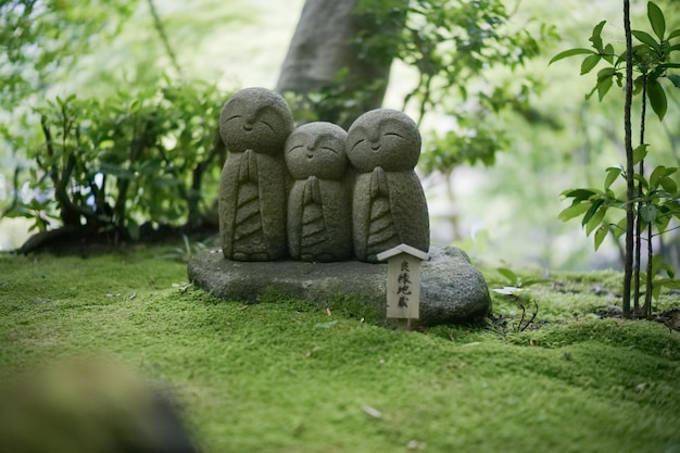 공원 에 있는 동상