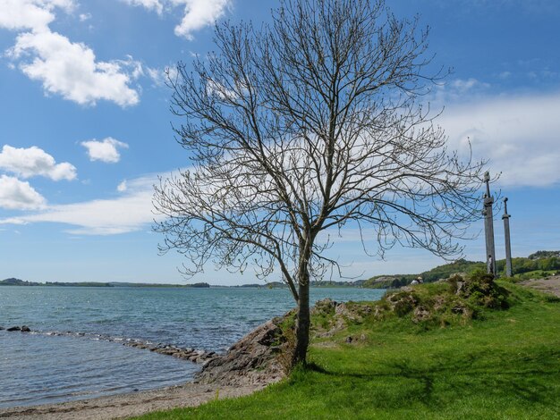 Foto stavanger in norvegia.