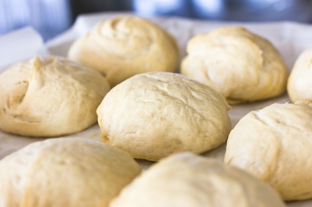 Steam buns from yeast wheat dough on a tray