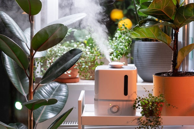 Steam from humidifier moistens dry air surrounded by indoor houseplants home garden plant care