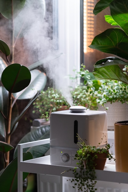 Steam from humidifier moistens dry air surrounded by indoor houseplants home garden plant care