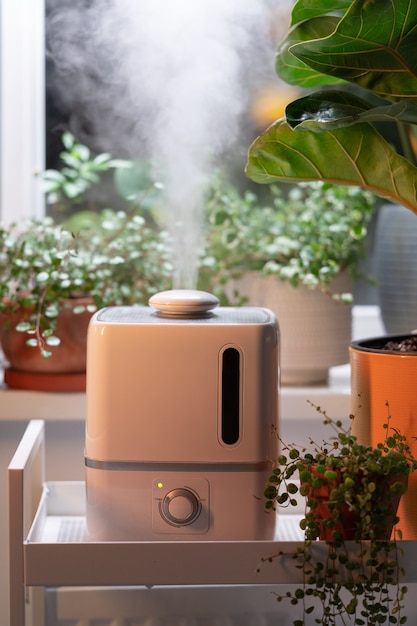 Steam from humidifier moistens dry air surrounded by indoor houseplants home garden plant care