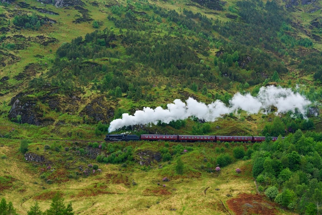 스코틀랜드 웨스트 하이랜드(West Highlands)의 로크 쉴(Loch Shiel) 정상에 위치한 글렌피넌 고가교(Glenfinnan Viaduct)의 증기 기관차