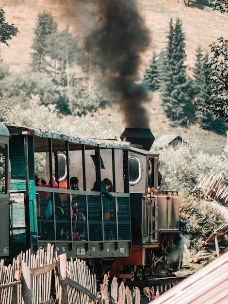 Foto treno a vapore su una ferrovia nella foresta