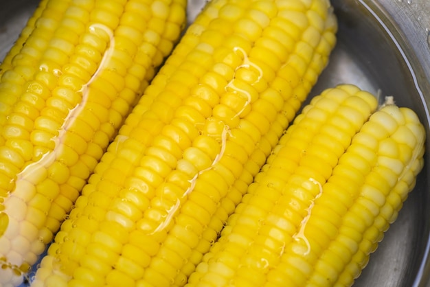 Steamed or boiled sweet corn cooked in hot pot ripe corn cobs sweetcorn for food