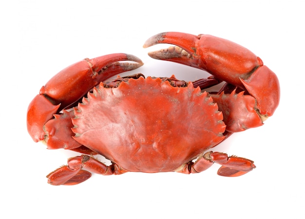 Steamed crab isolated on white background