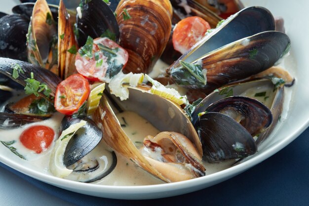 Steamed mussels with parsley and tomato, dark background