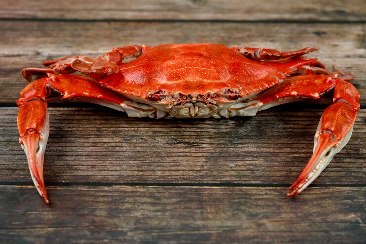 Фотография красный краб на пару на деревянных фоне. морепродукты.