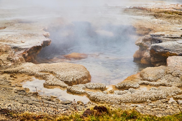 Steamy pool at yellowstone in spring