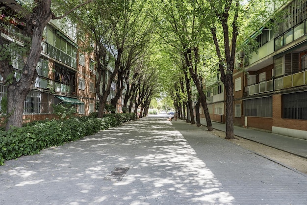 Stedelijke promenade geflankeerd door gebouwen en een groot aantal bomen die voor schaduw zorgen