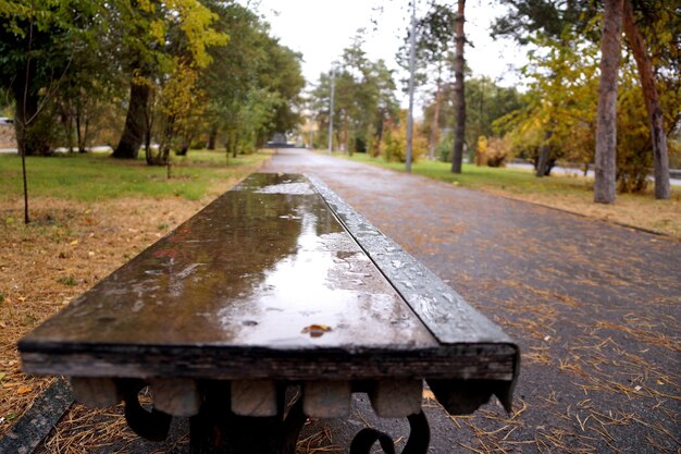 Stedelijke schets herfststeeg met gevallen bladerenx9