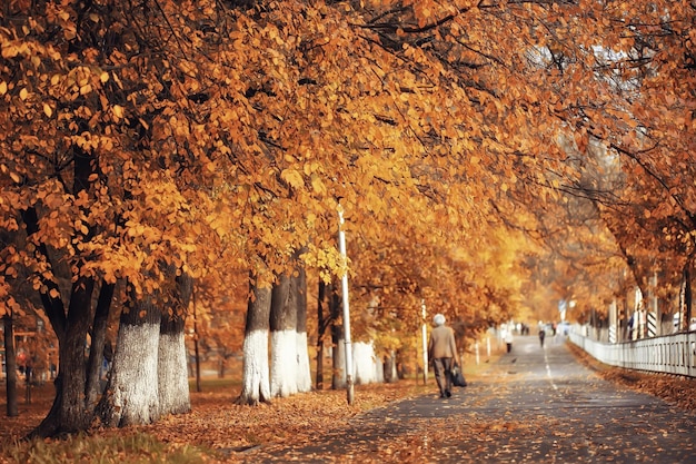 steegje in herfst parklandschap, herfst geel weg seizoenslandschap in oktober in de stad