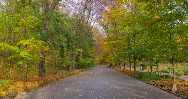 Steegje in het Sofievsky-arboretum of Sofiyivsky-park in Uman, Oekraïne, op een zonnige herfstdag