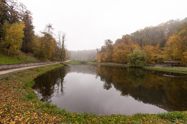 steegje in mistig park. Herfst, regenachtig weer