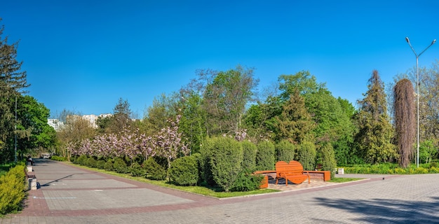 Steegjes in het Victory-park in Odessa, Oekraïne