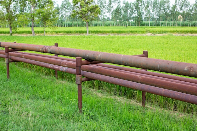 Steel long pipes in crude oil drill hole rice fields .