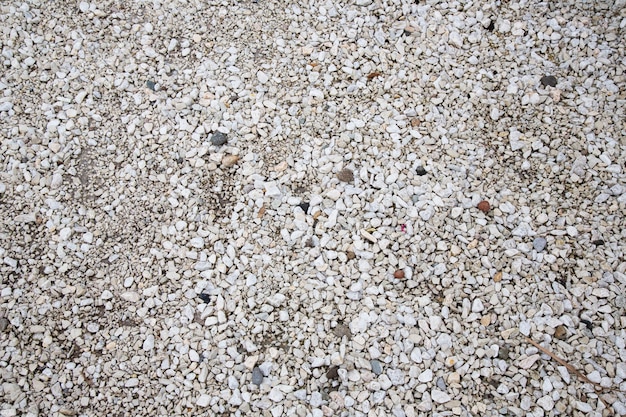 Steen textuur. Achtergrondtextuur van kleine witte stenen op het strand