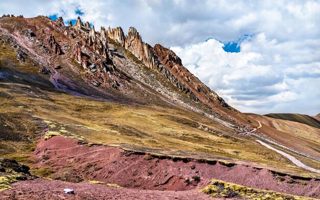 Steenbos bij palccoyo-regenboogbergen in peru