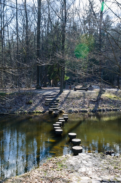 Steenbrug over een rivier in het bos