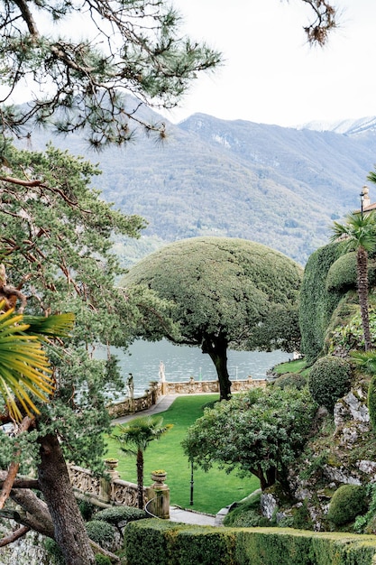 Steeneik op een groen gazon tussen de bomen tegen de achtergrond van het comomeer villa balbianello italy