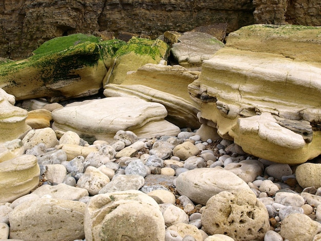 Foto steenen in het water tegen bomen