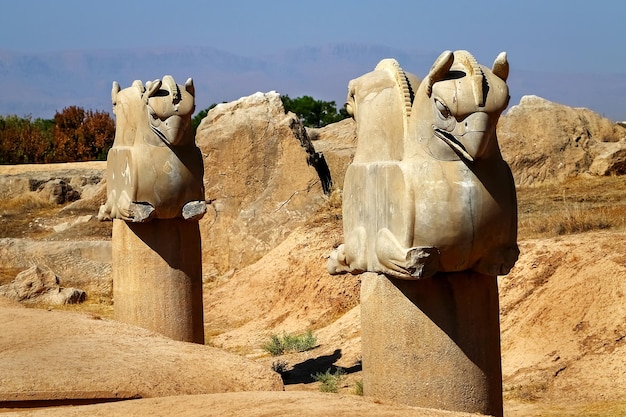 Steenkolombeeldhouwwerk van een Griffin in Persepolis Het overwinningssymbool van het oude Achaemenidische Koninkrijk Iran Perzië Shiraz