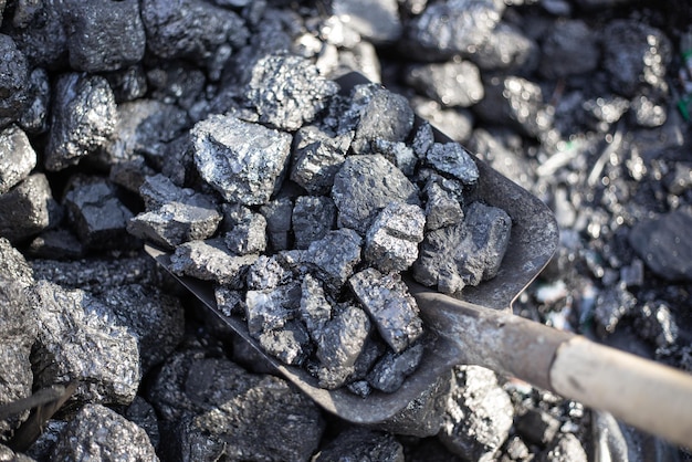 Steenkool in een schop. Minerale brandstof voor woongebouwen en kachels.