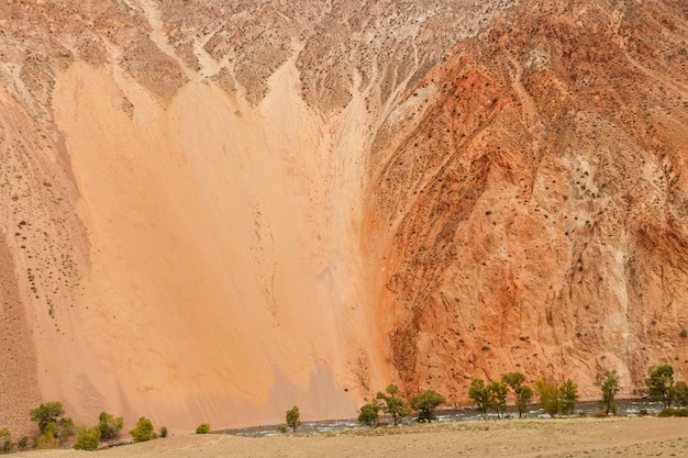 The steep bank of a mountain river