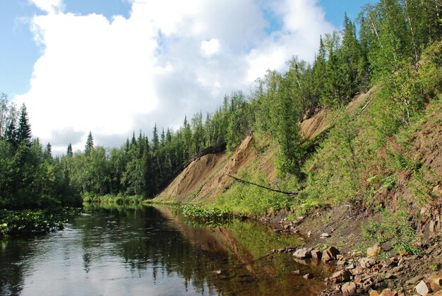 Крутой берег реки