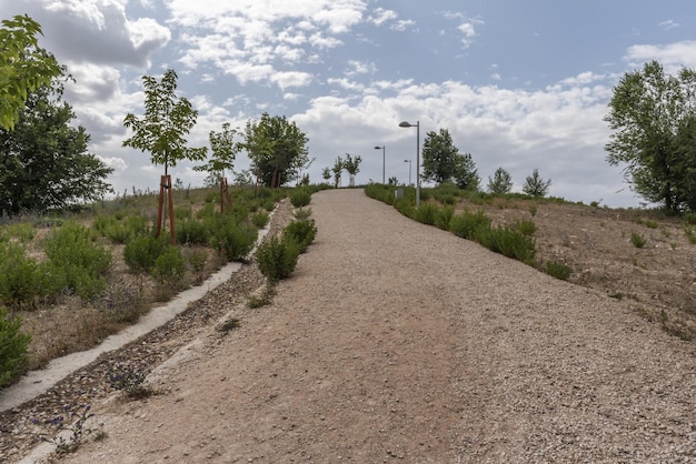 A steep dirt road in an urban park