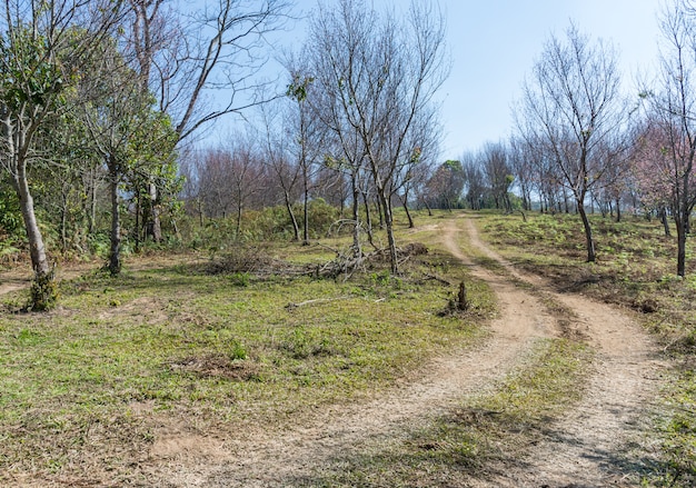 Steep dirt road.