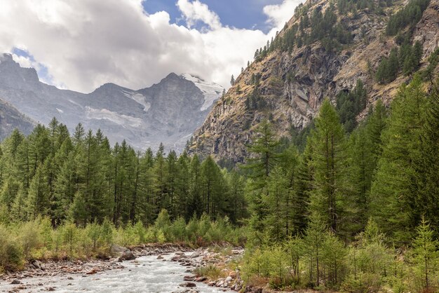 Pendiente granitico ripido foresta di pini gola torrente veloce cime innevate nuvole valle d'aosta italia