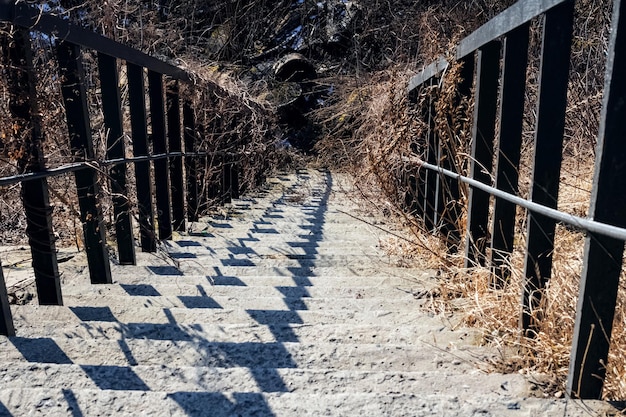 Steep old stairs down in autumn park