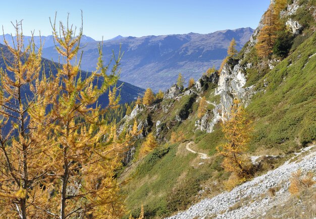 黄色のカラマツと秋の美しい山を渡る急な道