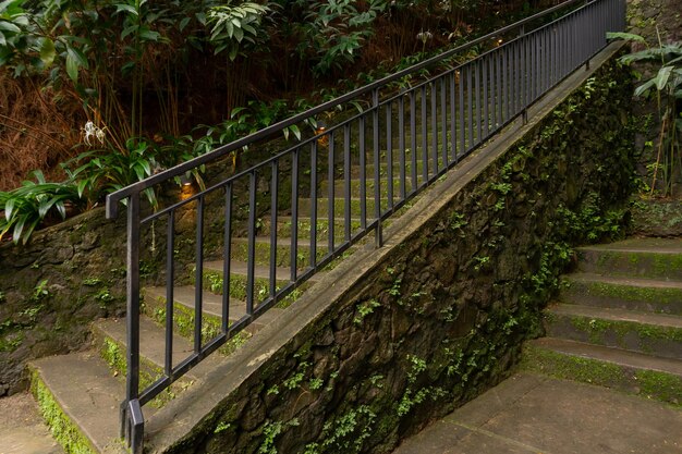 Steep stone stairs outdoors covered with moss