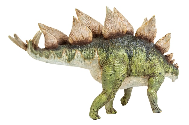 Stegosaurus Dinosaur on isolate background