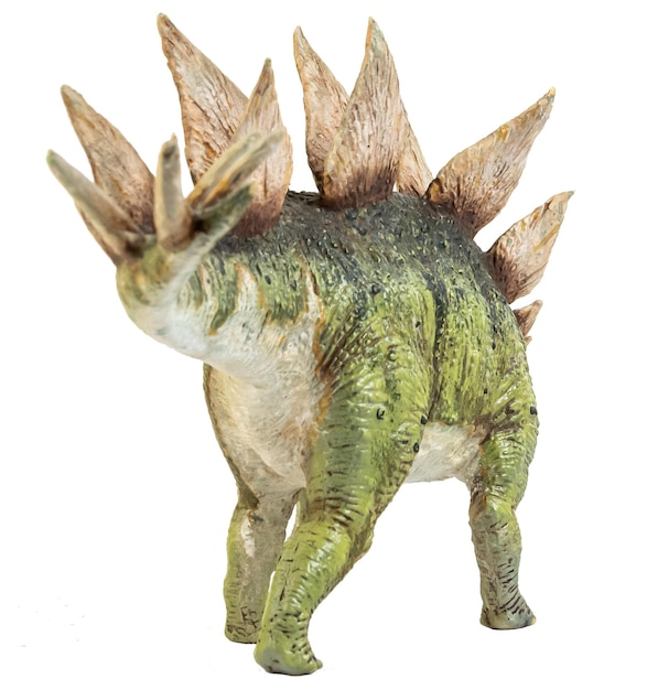 Stegosaurus Dinosaur on isolate background