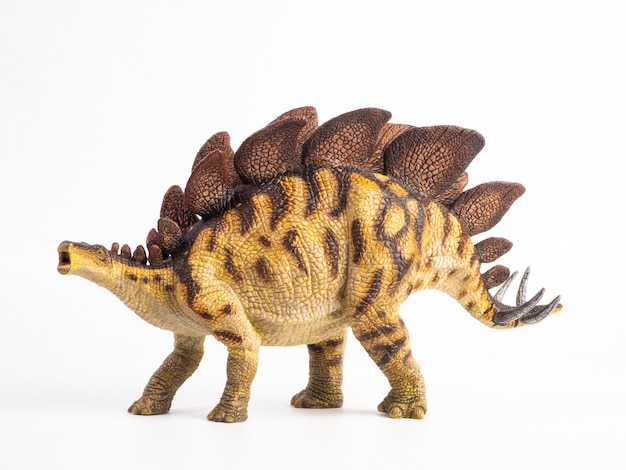 Stegosaurus Dinosaur