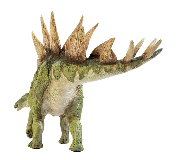 Stegosaurus-dinosaurus op geïsoleerde achtergrond