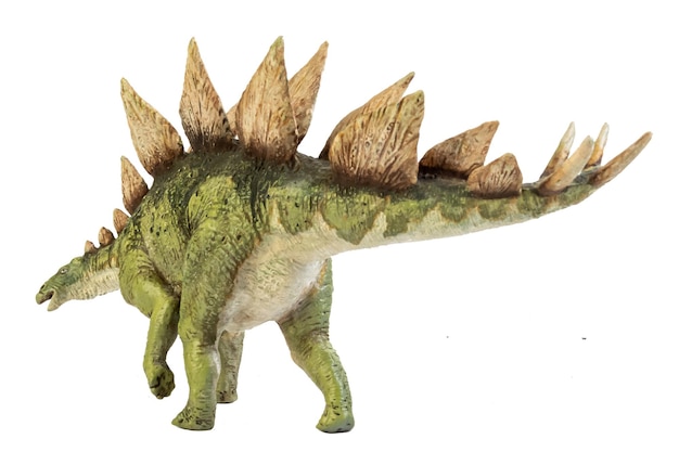 Stegosaurus-dinosaurus op geïsoleerde achtergrond