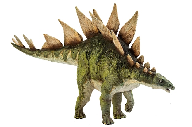 Stegosaurus-dinosaurus op geïsoleerde achtergrond