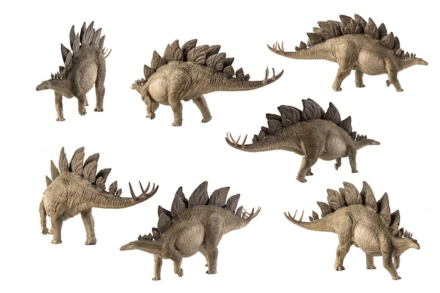 Stegosaurus dinosaurus op witte achtergrond.