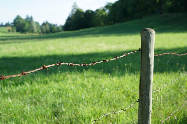 Foto stekendraadhek op het veld