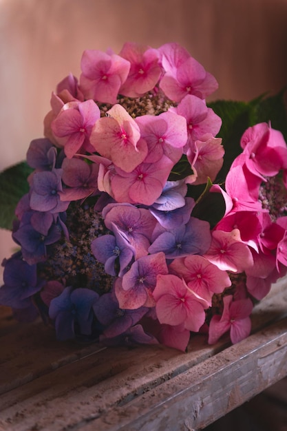 Stelletje kleurrijke hortensia's