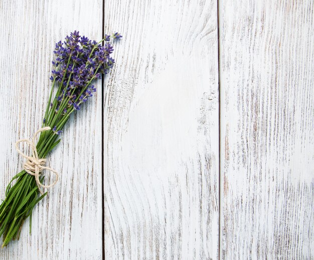 Stelletje lavendel