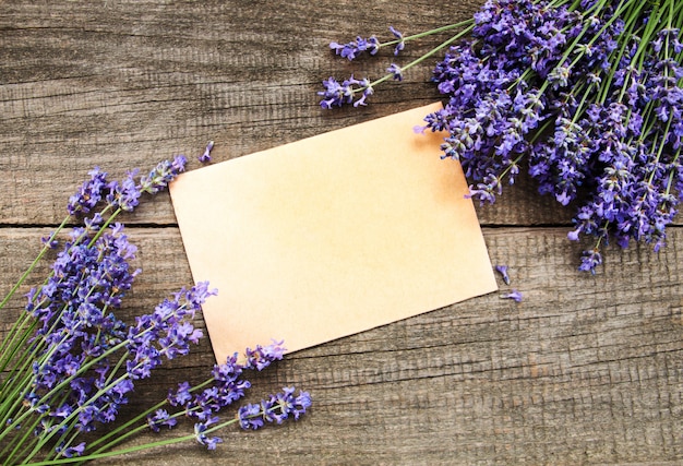 Foto stelletje lavendel