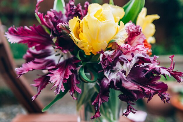 Stelletje papegaaiachtige tulpen