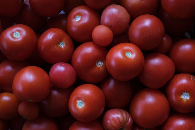 Stelletje rijpe tomaten na de oogst in de herfst in de tuin