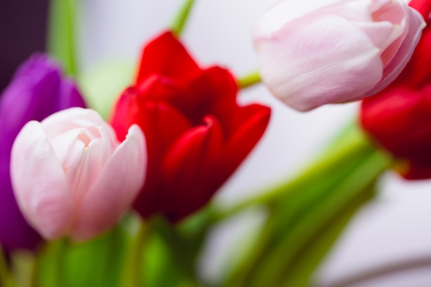 Stelletje tulpen