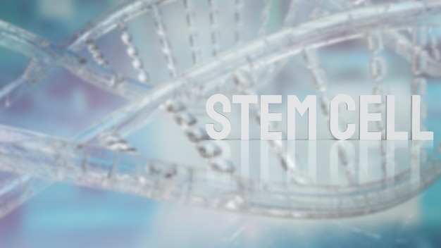 The stem cell text on dna background for sci or medical concept 3d rendering